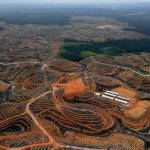 indonesia-us-environment-forests-company-procter
